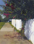 Crepe Myrtle